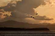 Costa Rica - Nicoya peninsula - evening mood