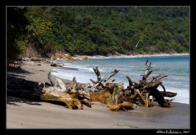 Costa Rica - Nicoya peninsula - Cabo Blanco Reserve - the beach