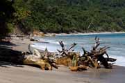 Costa Rica - Nicoya peninsula - Cabo Blanco Reserve - the beach