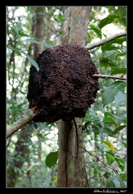 Costa Rica - Nicoya peninsula -