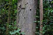 Costa Rica - Nicoya peninsula - technology: straight and twisted wires