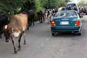 Costa Rica - Nicoya peninsula - on the road