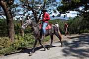 Costa Rica - Guanacaste -