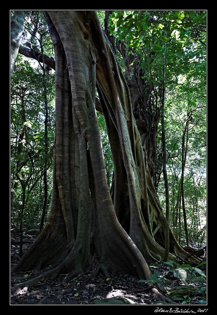 Costa Rica - Rincn de la Vieja -