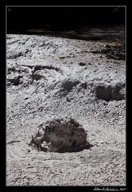 Costa Rica - Rincn de la Vieja - mudpots