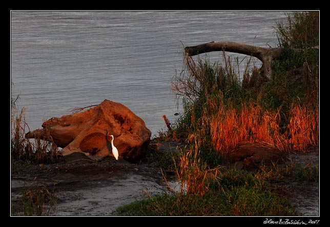 Costa Rica - Pacific coast - Trcoles river