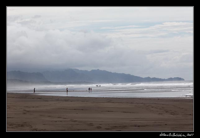 Costa Rica - Pacific coast - playa Matapalo