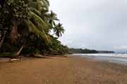 Costa Rica - Pacific coast - playa Balena