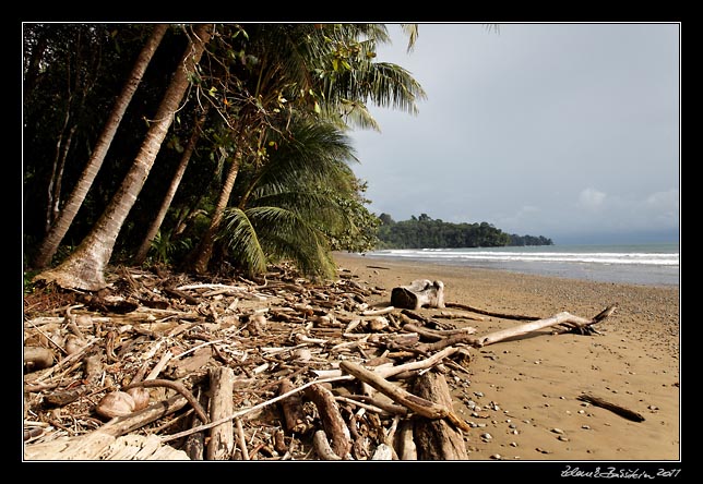 Costa Rica - Pacific coast - playa Balena