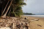 Costa Rica - Pacific coast - playa Balena