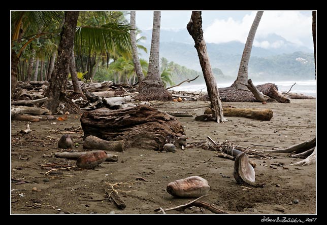 Costa Rica - Pacific coast - playa Uvita