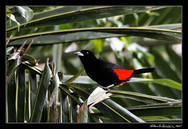 Costa Rica - Pacific coast -