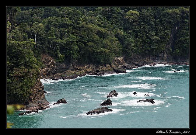 Costa Rica - Pacific coast - Manuel Antonio national park