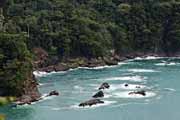 Costa Rica - Pacific coast - Manuel Antonio national park