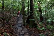 Costa Rica - Pacific coast - Punta de Catedral trail