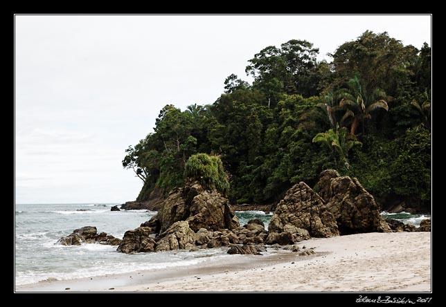 Costa Rica - Pacific coast - Manuel Antonio national park