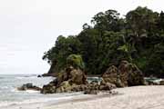 Costa Rica - Pacific coast - Manuel Antonio national park