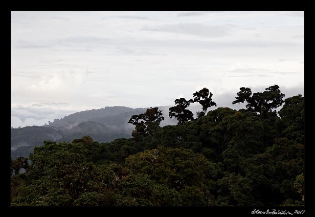 Costa Rica - Cerro de la Muerte area -