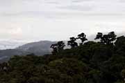 Costa Rica - Cerro de la Muerte area -