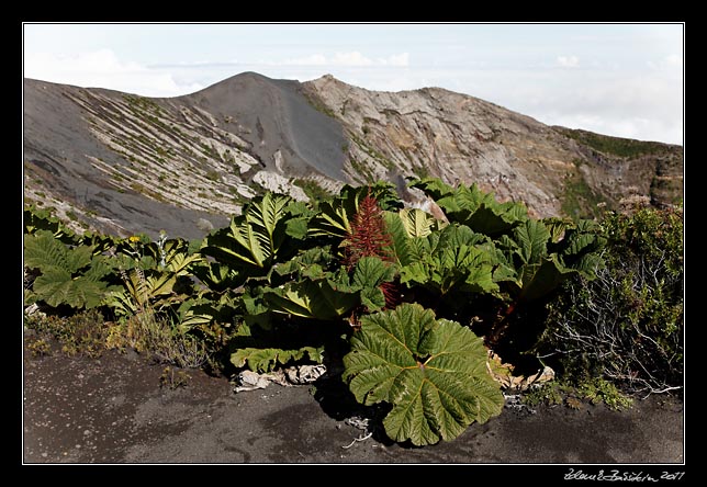 Costa Rica - Irazu - main crater