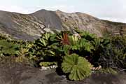 Costa Rica - Irazu - main crater