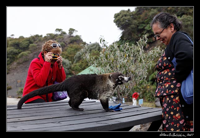 Costa Rica - Irazu - wildlife