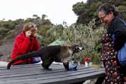 Costa Rica - Irazu - wildlife