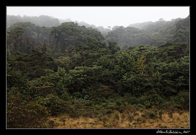 Costa Rica -  Poas -