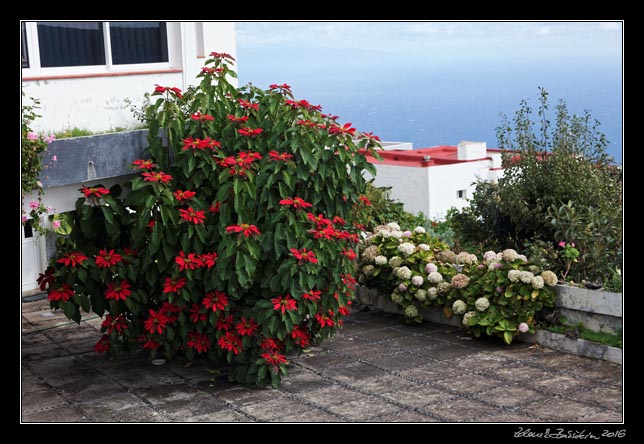 El Hierro - north - inlands - Valverde