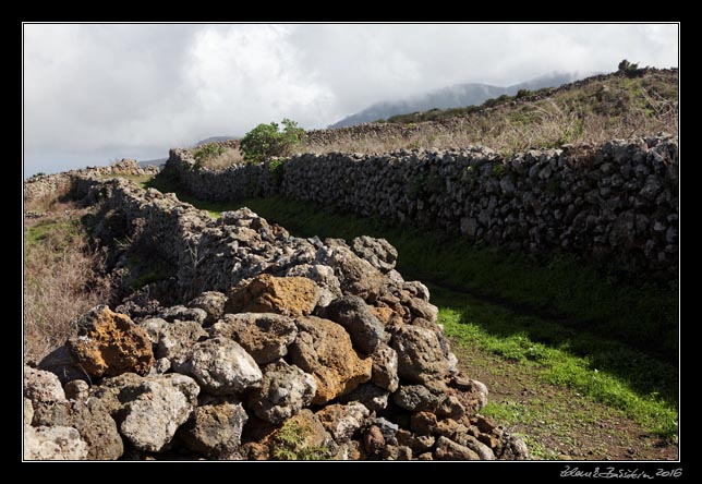 El Hierro - around Los Jarales