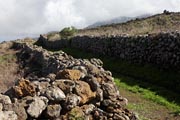 El Hierro - around Los Jarales