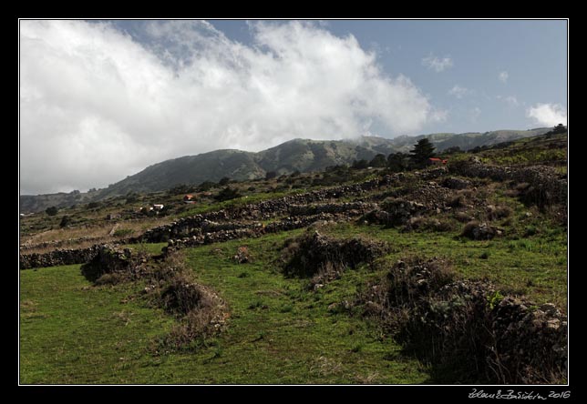 El Hierro - north - inlands -