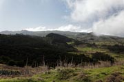 El Hierro - north - inlands -