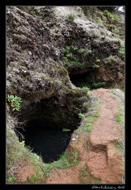 El Hierro - north - inlands - waterholes at Arbol Santo