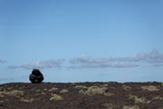 El Hierro - west coast - Punta de la Dehesa