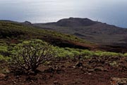 El Hierro - west coast - Faro de Orchilla