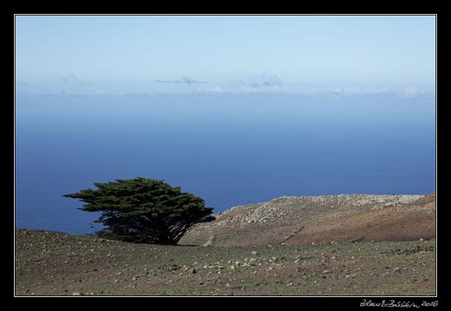 El Hierro - west - inlands - El Sabinar