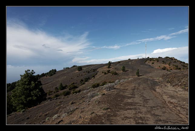 El Hierro- Camino de la Virgen de los Reyes - Malpaso