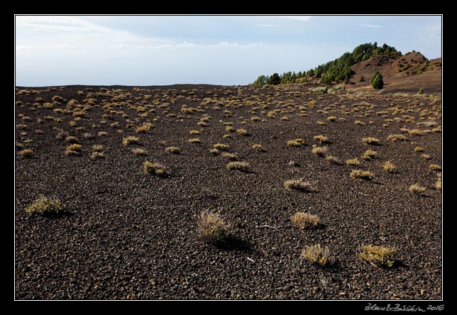 El Hierro- Camino de la Virgen de los Reyes -