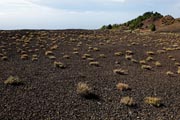 El Hierro- Camino de la Virgen de los Reyes -