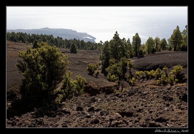 El Hierro- Camino de la Virgen de los Reyes - Binto