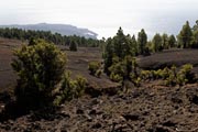 El Hierro- Camino de la Virgen de los Reyes - Binto