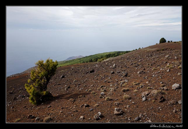 El Hierro- Camino de la Virgen de los Reyes - Binto