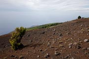 El Hierro- Camino de la Virgen de los Reyes - Binto