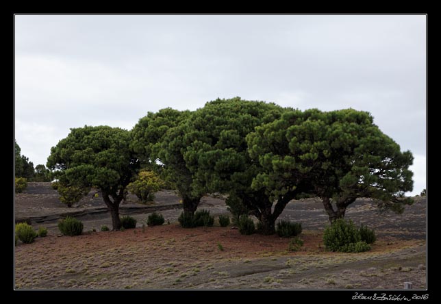 El Hierro- Camino de la Virgen de los Reyes - Cruz de los Reyes