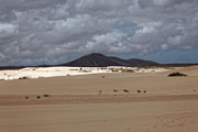 Fuerteventura - Corralejo - Parque Natural de Corralejo