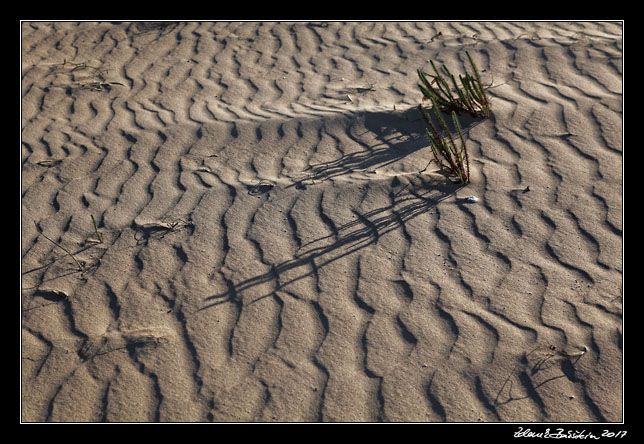 Fuerteventura - Corralejo - Parque Natural de Corralejo