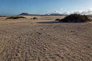 Fuerteventura - Corralejo - Parque Natural de Corralejo