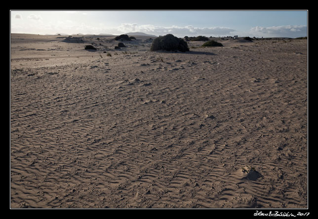 Fuerteventura - Corralejo - Parque Natural de Corralejo