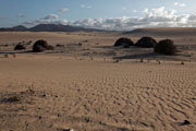 Fuerteventura - Corralejo - Parque Natural de Corralejo